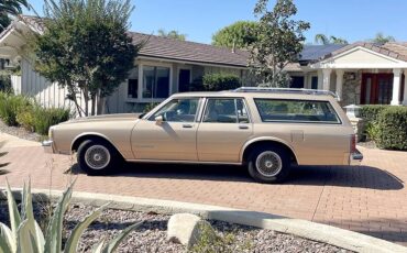 Pontiac-parisienne-safari-wagon-1986-20