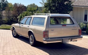 Pontiac-parisienne-safari-wagon-1986-21