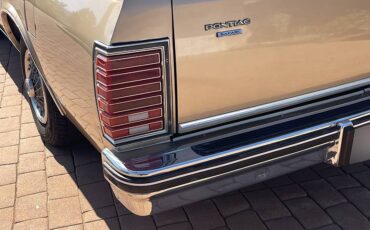Pontiac-parisienne-safari-wagon-1986-23