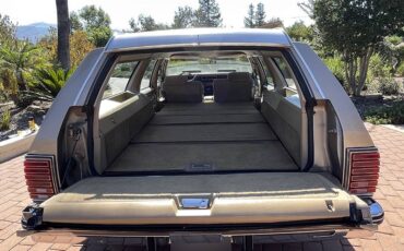 Pontiac-parisienne-safari-wagon-1986-4