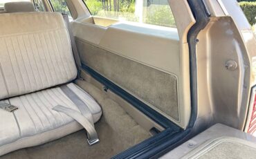 Pontiac-parisienne-safari-wagon-1986-5