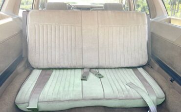Pontiac-parisienne-safari-wagon-1986-6