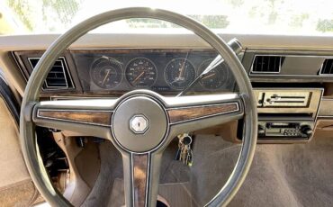 Pontiac-parisienne-safari-wagon-1986-8