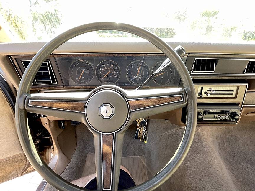 Pontiac-parisienne-safari-wagon-1986-8