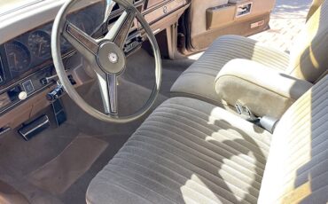 Pontiac-parisienne-safari-wagon-1986-9