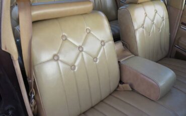 Pontiac-phoenix-1977-brown-21