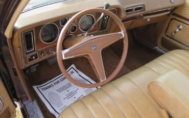 Pontiac-phoenix-1977-brown-38