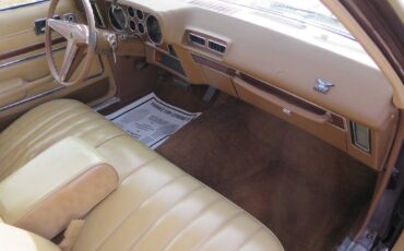 Pontiac-phoenix-1977-brown-42