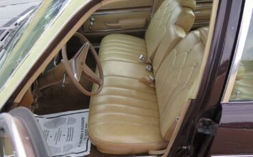 Pontiac-phoenix-1977-brown-7