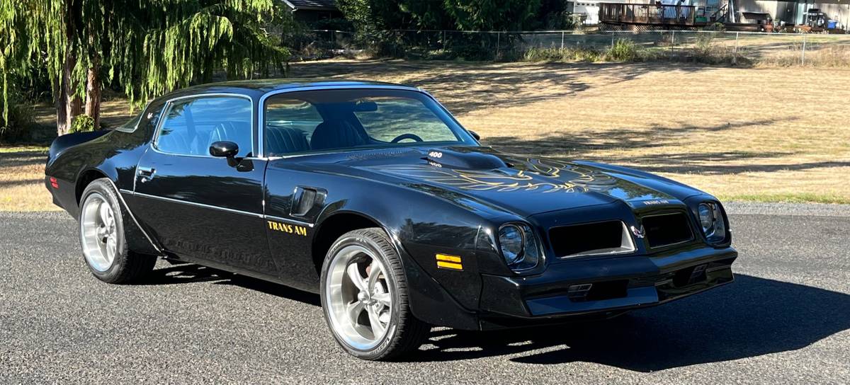Pontiac-trans-am-1976-black-14