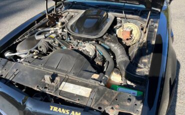 Pontiac-trans-am-1976-black-21