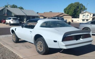 Pontiac-trans-am-1977-grey-6
