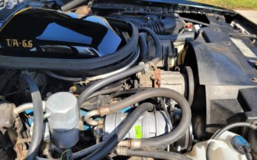 Pontiac-trans-am-1978-black-31