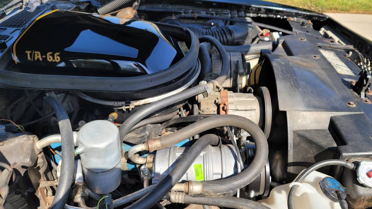 Pontiac-trans-am-1978-black-31