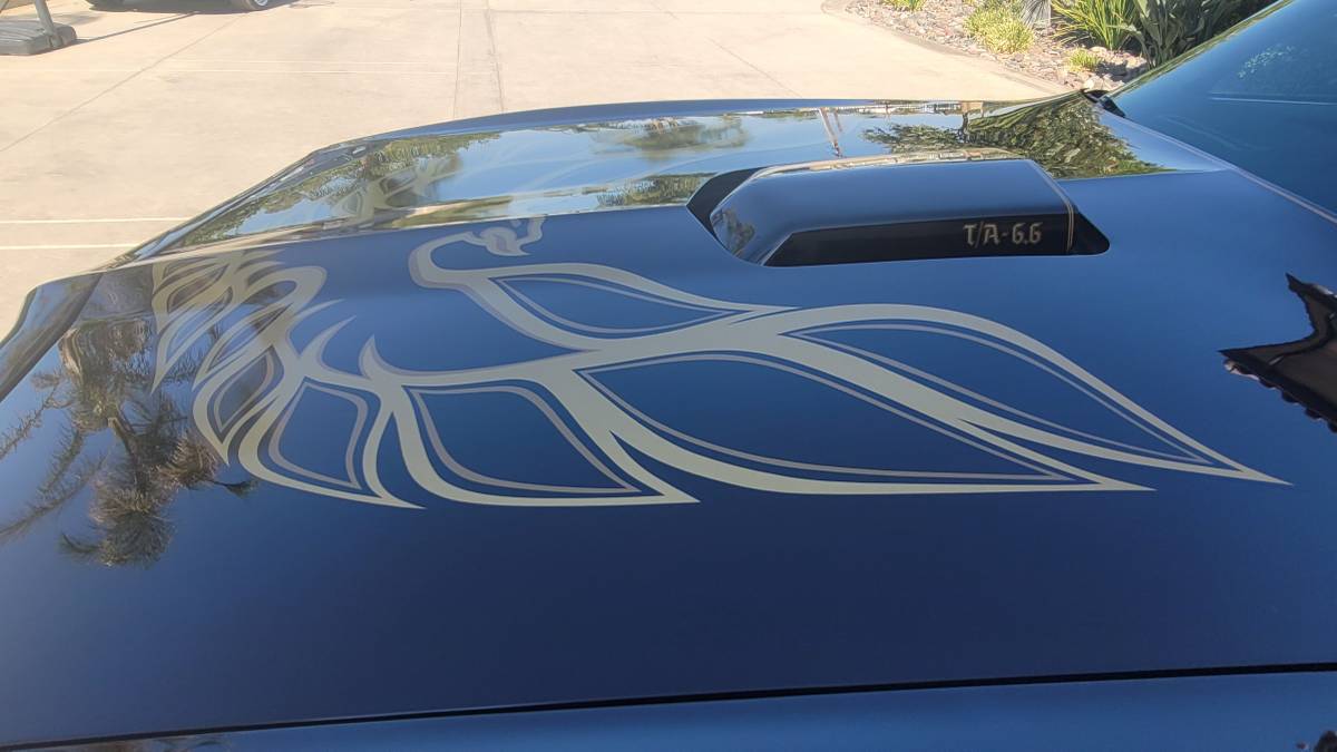 Pontiac-trans-am-1978-black-8
