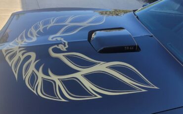 Pontiac-trans-am-1978-black-9