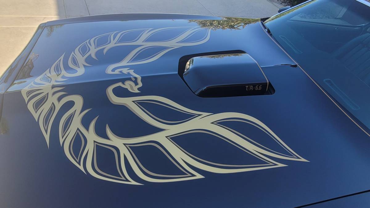 Pontiac-trans-am-1978-black-9
