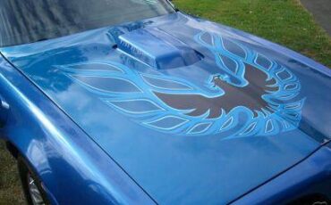 Pontiac-trans-am-1978-blue-1