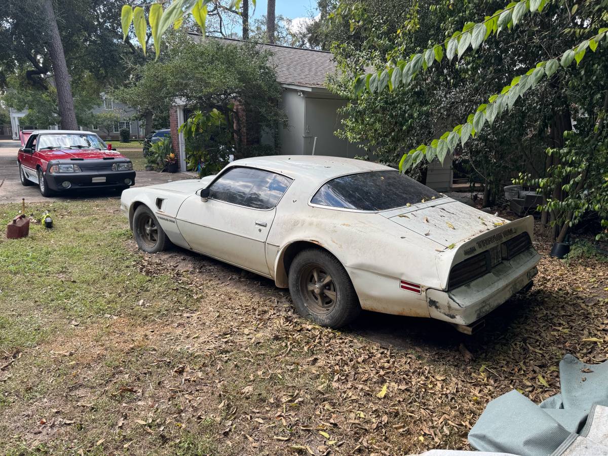 Pontiac-trans-am-1978-white-3