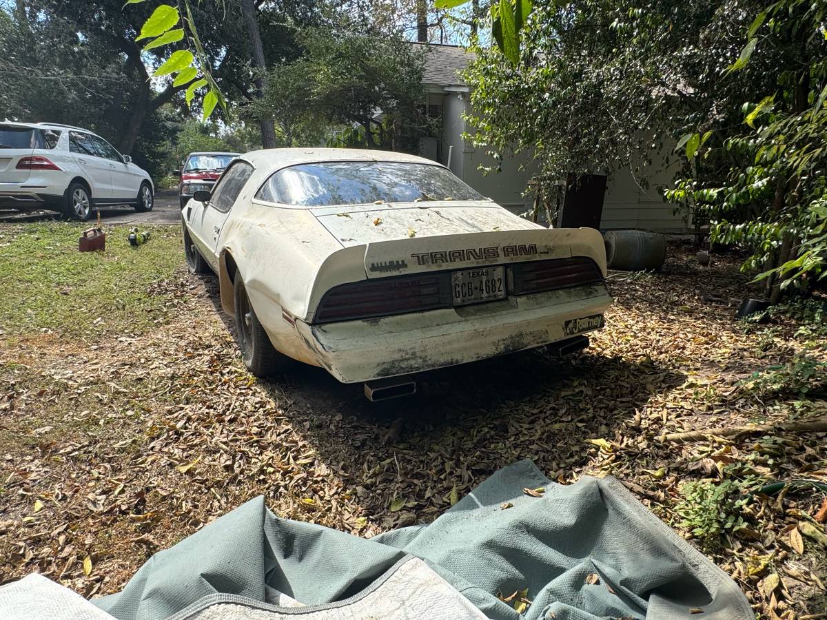 Pontiac-trans-am-1978-white-7