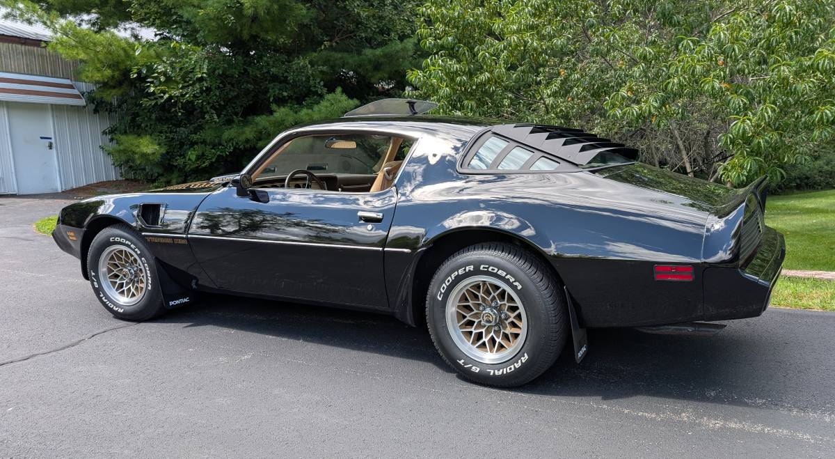Pontiac-trans-am-1981-1