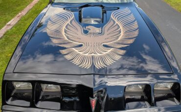 Pontiac-trans-am-1981-2