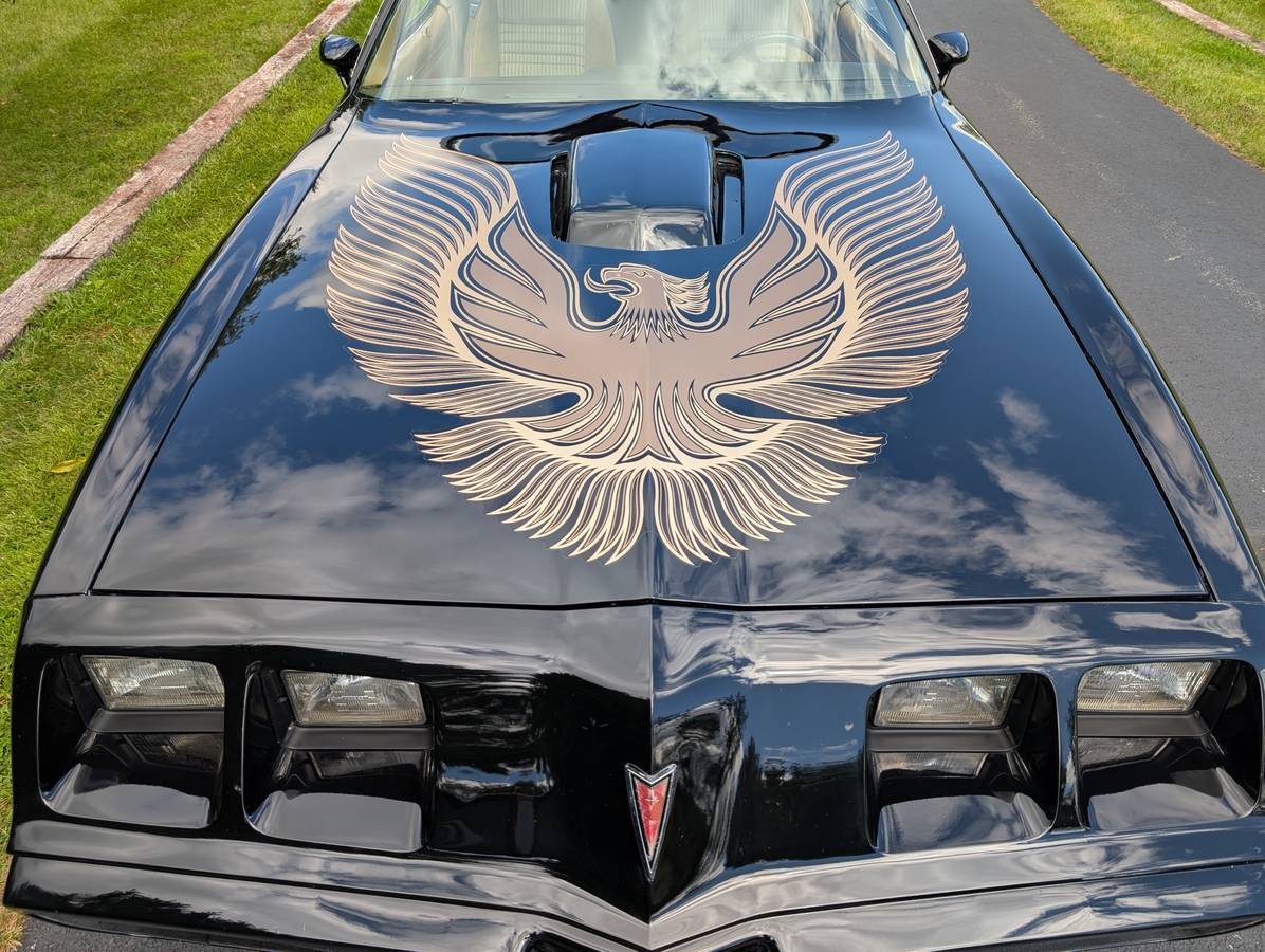 Pontiac-trans-am-1981-2