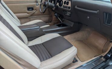 Pontiac-trans-am-1981-4