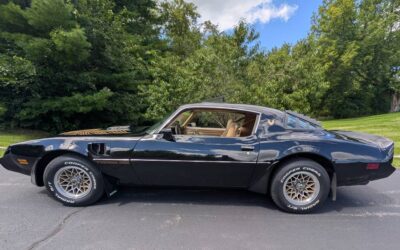 Pontiac trans am 1981