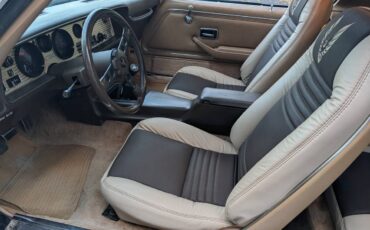 Pontiac-trans-am-1981-5