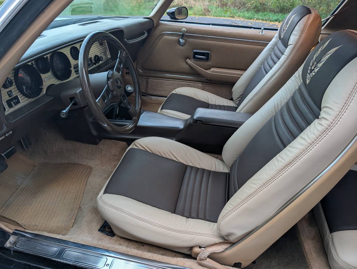 Pontiac-trans-am-1981-5