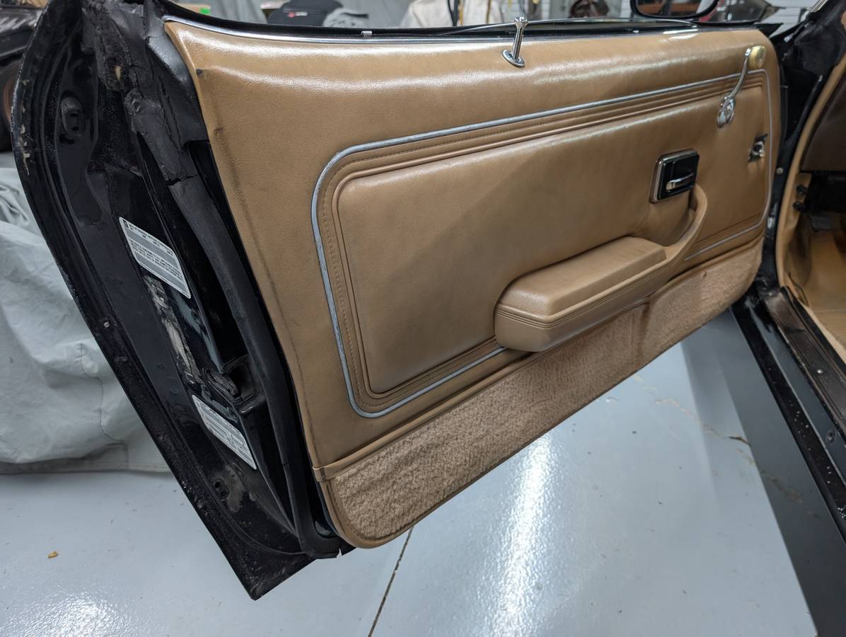 Pontiac-trans-am-1981-7