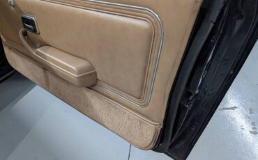 Pontiac-trans-am-1981-8