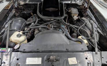 Pontiac-trans-am-1981-9