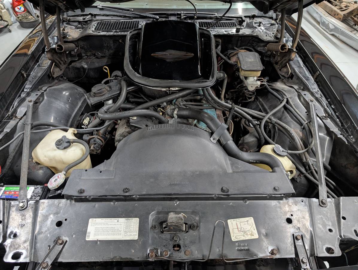 Pontiac-trans-am-1981-9
