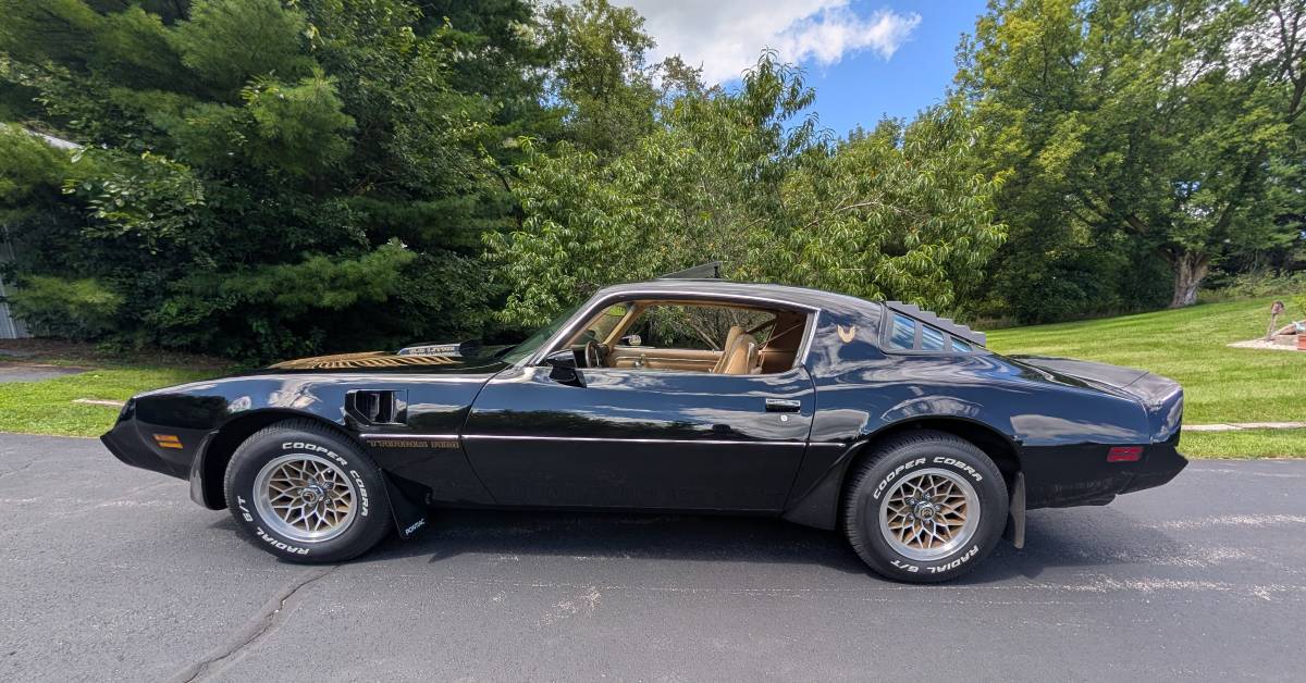 Pontiac-trans-am-1981