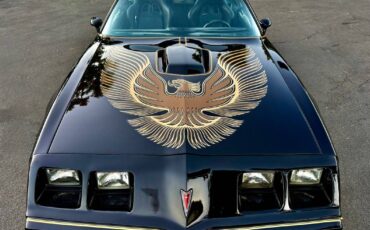 Pontiac-trans-am-bandit-4.9-litre-v8-1981-black-1