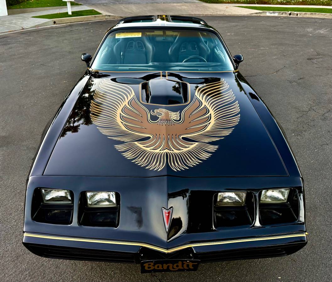 Pontiac-trans-am-bandit-4.9-litre-v8-1981-black-1