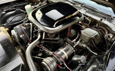 Pontiac-trans-am-bandit-4.9-litre-v8-1981-black-10