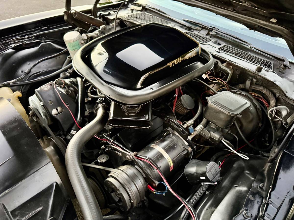 Pontiac-trans-am-bandit-4.9-litre-v8-1981-black-10