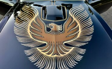 Pontiac-trans-am-bandit-4.9-litre-v8-1981-black-12