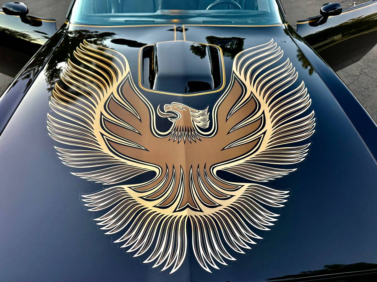 Pontiac-trans-am-bandit-4.9-litre-v8-1981-black-12