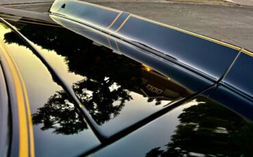 Pontiac-trans-am-bandit-4.9-litre-v8-1981-black-15