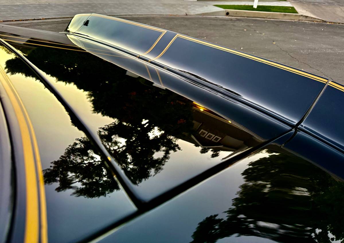 Pontiac-trans-am-bandit-4.9-litre-v8-1981-black-15