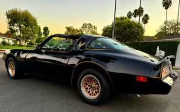 Pontiac-trans-am-bandit-4.9-litre-v8-1981-black-16