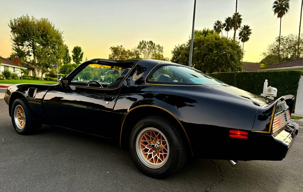 Pontiac-trans-am-bandit-4.9-litre-v8-1981-black-16