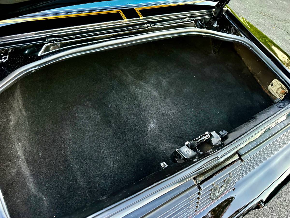 Pontiac-trans-am-bandit-4.9-litre-v8-1981-black-17