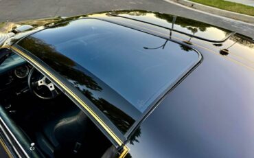 Pontiac-trans-am-bandit-4.9-litre-v8-1981-black-18