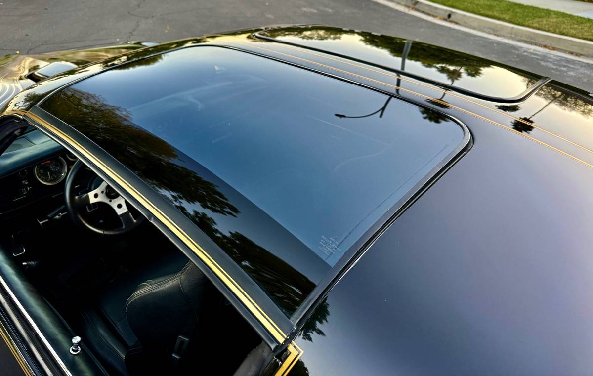 Pontiac-trans-am-bandit-4.9-litre-v8-1981-black-18