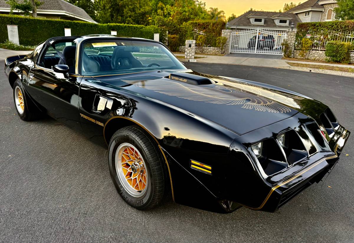 Pontiac-trans-am-bandit-4.9-litre-v8-1981-black-2